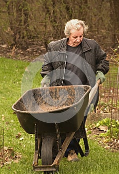 Woman pushing wheelbarrel photo