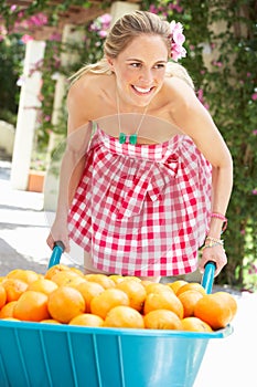 Woman Pushing Wheelbarrow Filled With Oranges