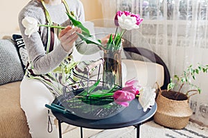 Woman puts bouquet of tulips flowers in vase with water at home. Fresh blooms picked up in basket. Interior and decor