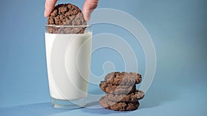 Woman puts chocolate chip cookies in a glass with milk.