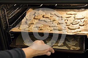 Woman puts cookies in the oven