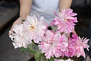 woman puts peonies flowers in vase. Housewife enjoying decor and interior of kitchen. Sweet home. Allergy free.