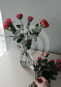 A woman puts roses in a vase of the house on the table by the window