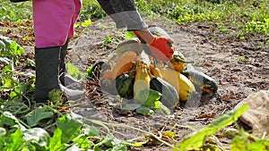 Woman puts vegetables on pile.