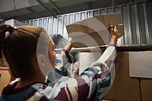 Woman Putting Boxes on Shelf in Garage