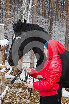 Woman putting a bridle