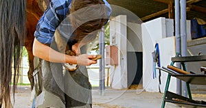 Woman putting horseshoes in horse leg 4k