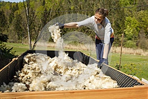 Woman putting raw wool in a raised garden bed. DIY concept