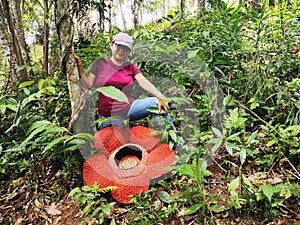 Woman with Rafflesia keithii flower