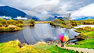 Woman with a rainbow colored Umbrella under dark rain clouds on a cold spring day at the lagoons of Pitt-Addington Marsh