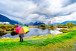 Woman with a rainbow colored Umbrella under dark rain clouds on a cold spring day at the lagoons of Pitt-Addington Marsh