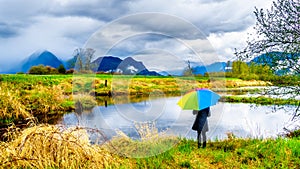 Woman with a rainbow colored Umbrella under dark rain clouds on a cold spring day at the lagoons of Pitt-Addington Marsh