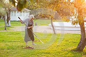 Woman with rake in garden.