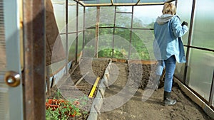Woman with a rake makes a garden bed in a greenhouse