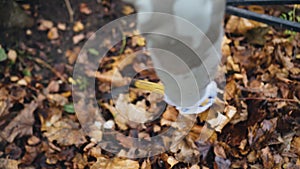 A woman rakes leaves from under a black metal fence. Close up. Autumn.
