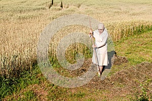 Woman is raking a hay with a rake in the field