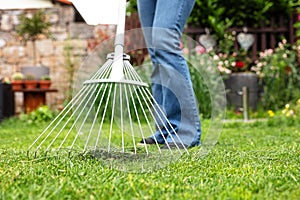 Woman is raking tha lawn in the garden, gardening and work