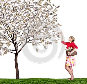 A woman reaching up picking money off a tree