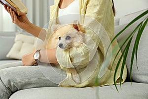 Woman reading book with cute dog on sofa in living room, closeup