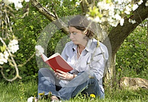 Woman reading a book under a tree