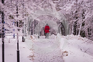 Woman in red with dog on winter alley in park on a snowy day