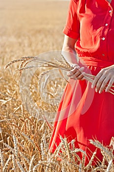 Woman in red dress holding ears of ripe wheat