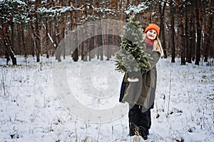 Woman in red hat holding Christmas tree in snow winter park. Preparing for Christmas, picking, selecting, choosing