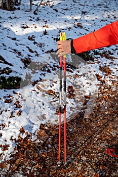 A woman in a red jacket practices Nordic walking in the forest