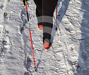 A woman in a red jacket practices Nordic walking in the woods and along the lake