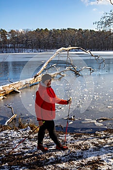 A woman in a red jacket practices Nordic walking in the woods and along the lake