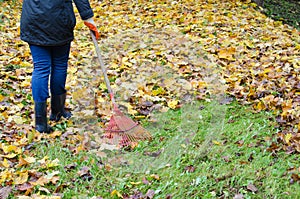 Woman red rake tool hand garden work leaves autumn