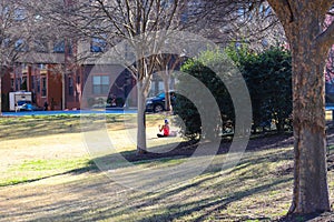 A woman in a red top sitting on the grass surrounded by lush green trees, bare winter trees, parked cars and apartment buildings