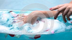 Woman relaxing in bath with rose petals and gentle bubble foam, macro shot