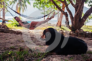 Woman relaxing in hammock with dog