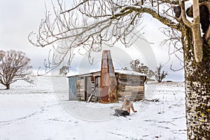 Woman relaxing in snowy field with old rustic barn
