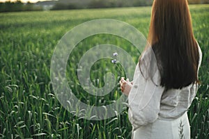 Woman relaxing in wheat field in evening, cropped view. Stylish young female in rustic dress holding wildflowers in hands in
