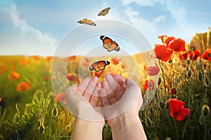 Woman releasing butterflies in field on sunny day. Freedom concept