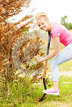 Woman remove tree from backyard, digging soil with shovel