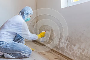 Woman removes mold from wall using spray bottle with mold remediation chemicals