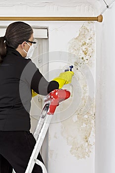 woman removing mold mildew wall