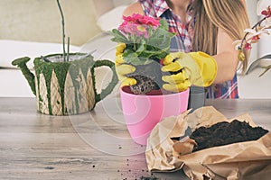 Woman replant plant in new pink pot