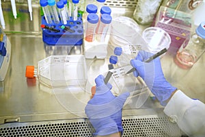 The woman researcher writing code cell passage on the micro tube to stock cell culture in the freezer on white background