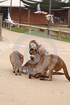 Woman at a reserve is playing with a kangaroo