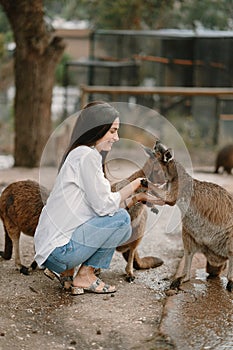 Woman in the reserve is playing with a kangaroo