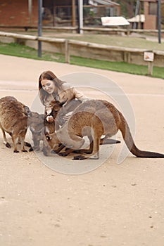 Woman at a reserve is playing with a kangaroo
