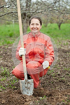 Woman resetting bush sprouts