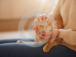 woman resting with cat on sofa at home