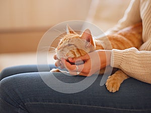 woman resting with cat on sofa at home
