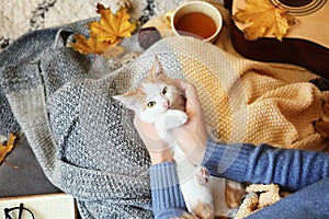 Woman resting with cute little kitten at home