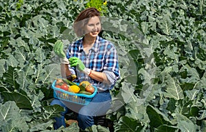 woman resting after work in the field and puts protective gloves on his hands